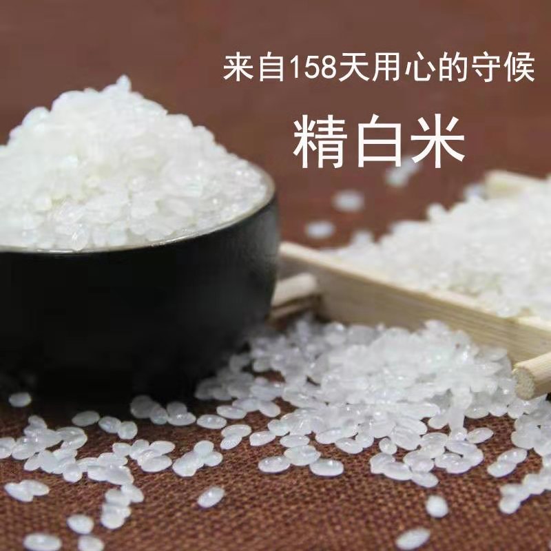 杜良水乡濛金地 碱地精白米 5斤/袋